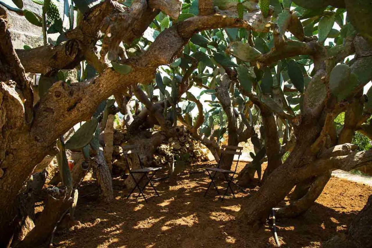 Masseria Celano Grottaglie Exteriér fotografie